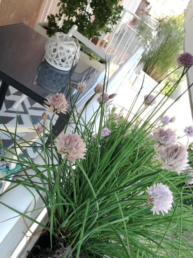Suite 51 Appartamento Con Terrazzo A 50 Mt Dal Lago - Private Parking (Adults Only) أرونا المظهر الخارجي الصورة